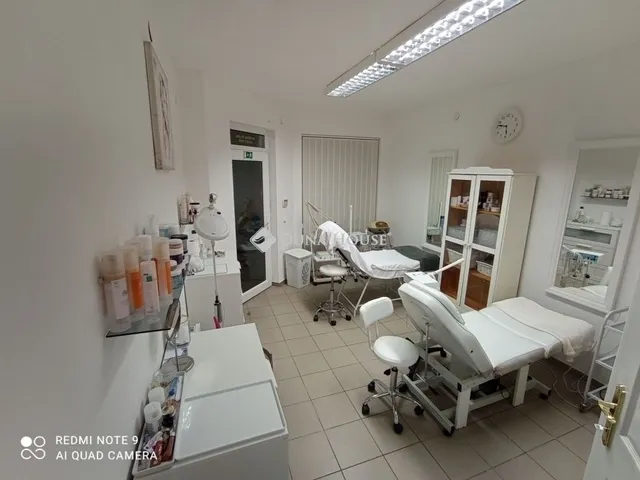 Eladó ház Budapest XVIII. kerület 276 nm
