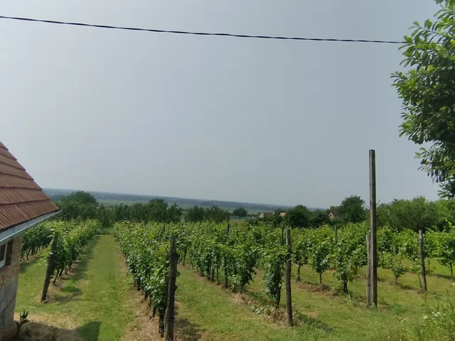 Eladó mezőgazdasági ingatlan Harkány, Fürdőtelep 30 nm