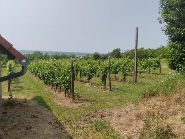 Eladó mezőgazdasági ingatlan Harkány, Fürdőtelep 30 nm