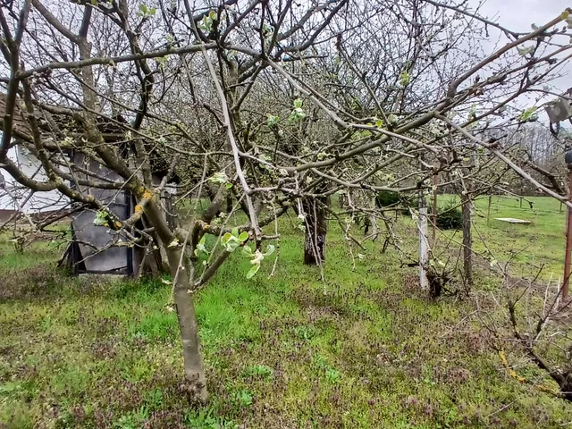 Eladó üdülő és hétvégi ház Barcs 1500 nm