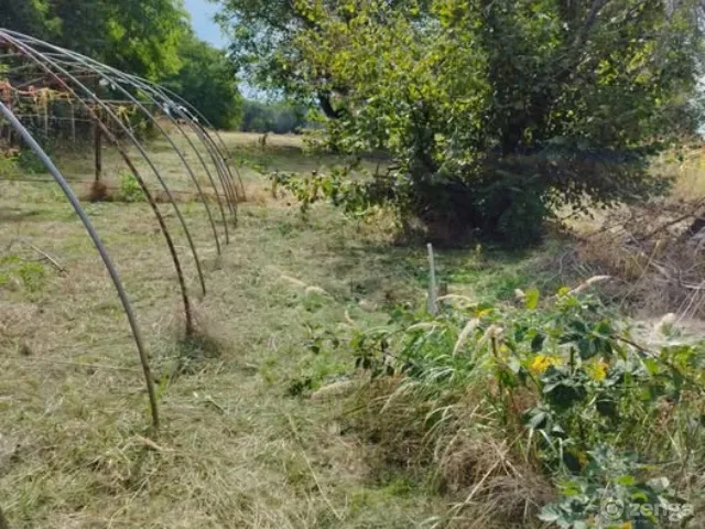 Eladó ház Kiskunfélegyháza 60 nm