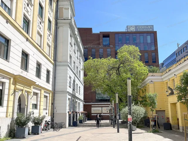 Eladó lakás Budapest VIII. kerület, Vajdahunyad utca 65 nm