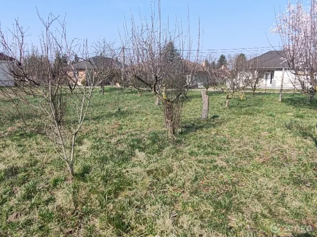 Eladó telek Tét 1000 nm