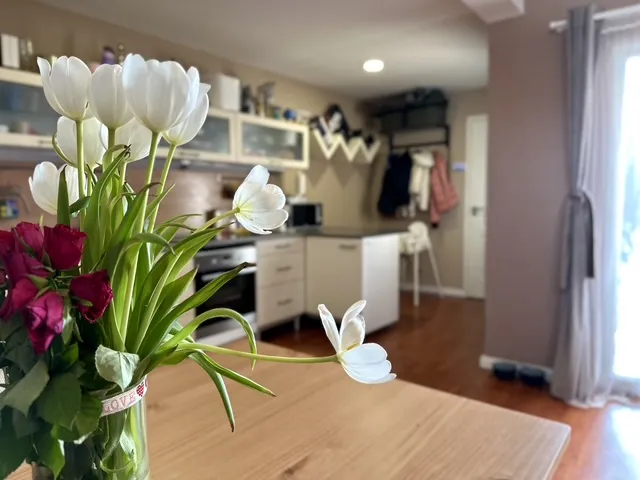 Eladó ház Budakalász 270 nm