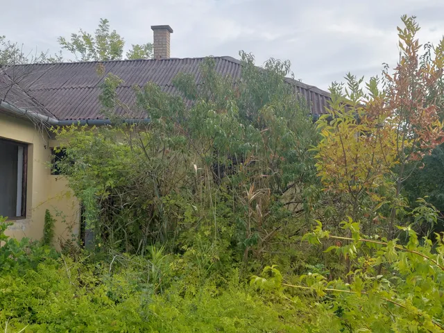 Eladó ház Nagyrábé, Kölcsey Ferenc utca 15. 161 nm