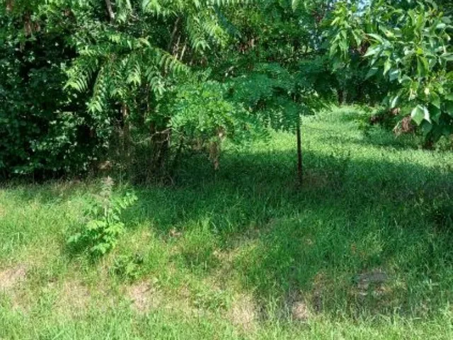 Eladó telek Gyomaendrőd, Mester u.31. 1234 nm