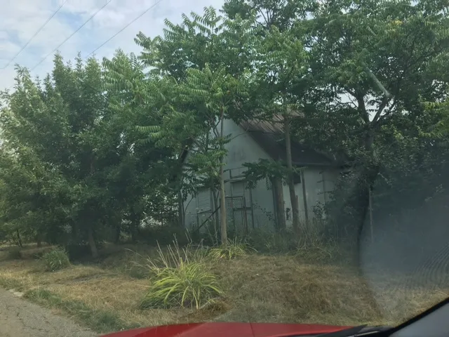 Eladó telek Gyomaendrőd, Mester u.31. 1234 nm