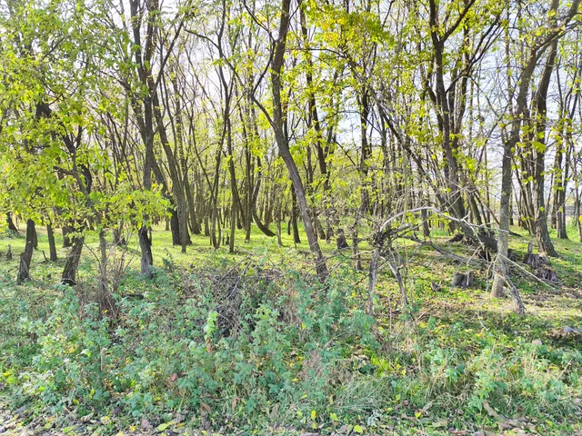 Eladó telek Farmos, 663/14 9999 nm