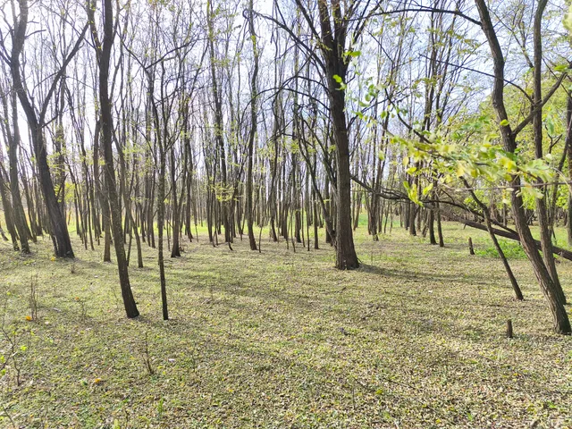 Eladó telek Farmos, 663/14 9999 nm