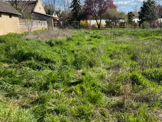 Eladó ház Kiszombor, Csatorna u.4. 96 nm