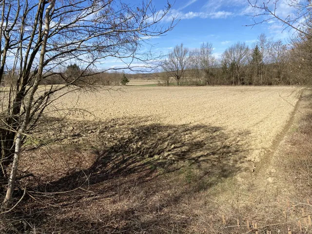 Eladó telek Alsószölnök 5000 nm