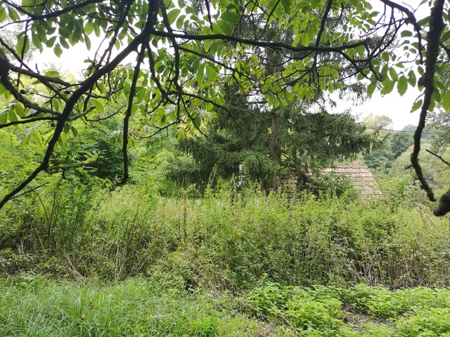 Eladó telek Szápár 1209 nm