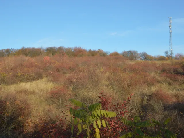 Eladó telek Dudar 24800 nm