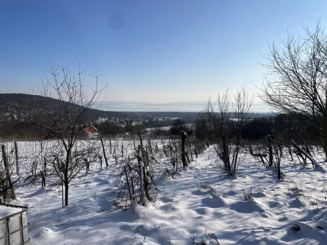 Eladó mezőgazdasági ingatlan Dörgicse 40 nm