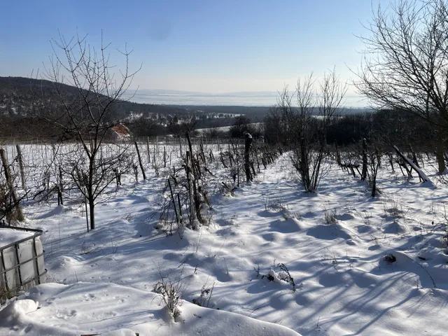 Eladó mezőgazdasági ingatlan Dörgicse 40 nm