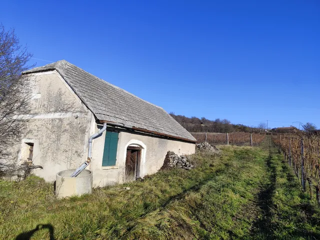 Eladó mezőgazdasági ingatlan Balatoncsicsó 45 nm