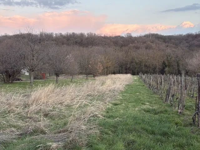 Eladó telek Rezi 2113 nm