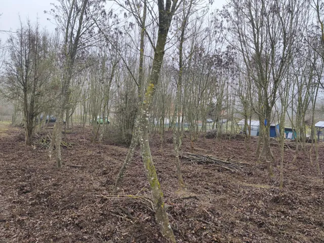 Eladó telek Balatonfüred 2030 nm