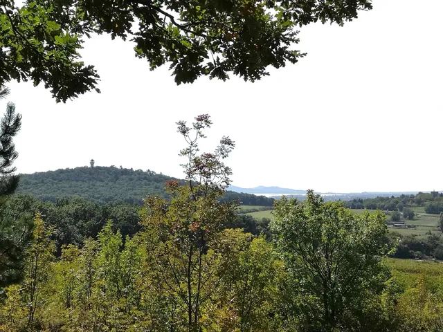 Eladó telek Alsóörs 23640 nm