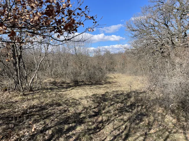 Eladó telek Dörgicse 8504 nm