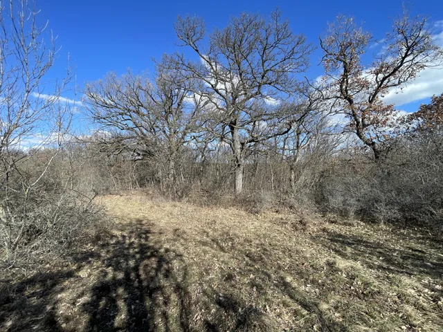 Eladó telek Dörgicse 8504 nm