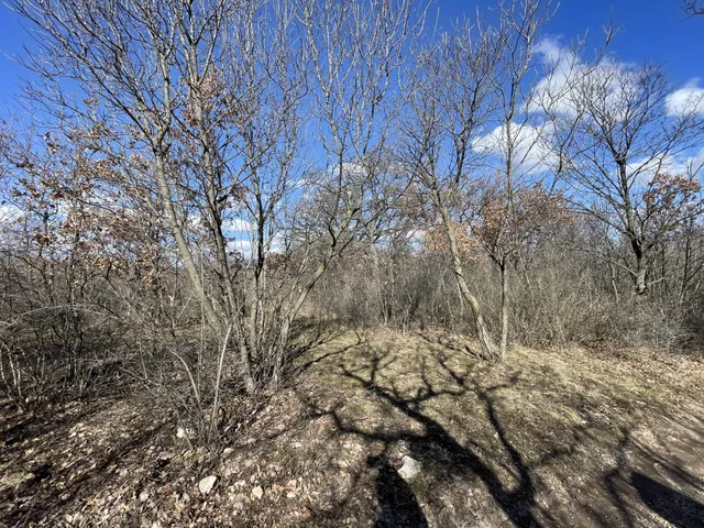 Eladó telek Dörgicse 8504 nm