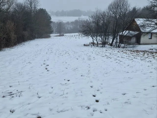 Eladó telek Szalafő 5714 nm