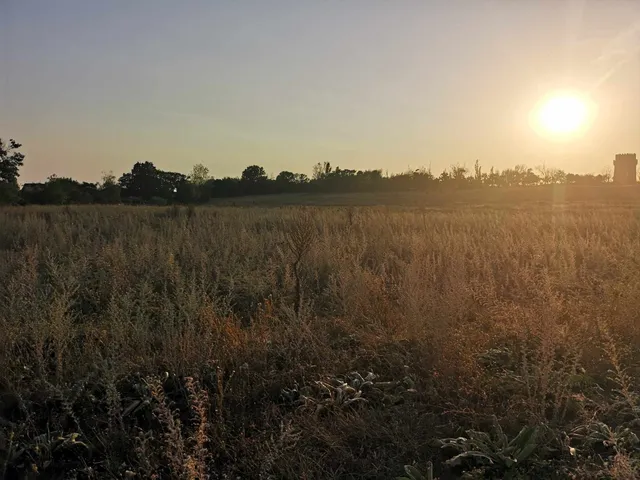 Eladó telek Hajmáskér 917 nm