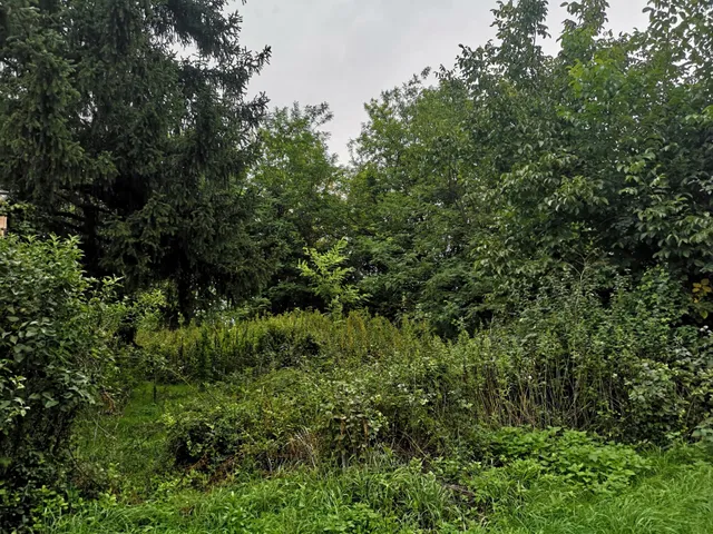 Eladó telek Szápár 1209 nm