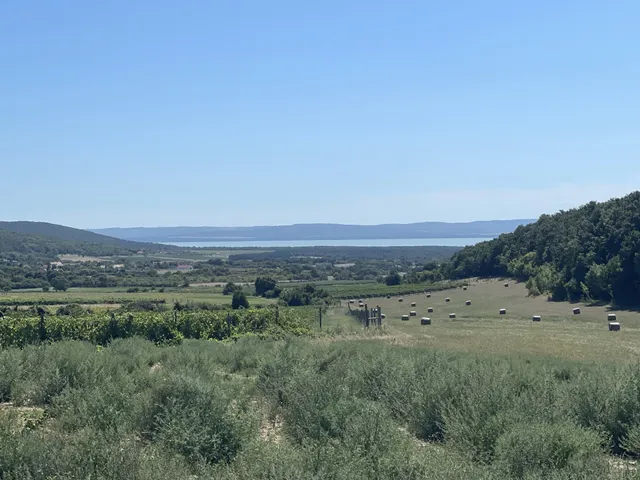 Eladó mezőgazdasági ingatlan Dörgicse 65741 nm