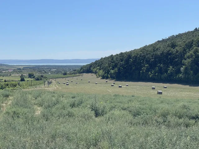 Eladó mezőgazdasági ingatlan Dörgicse 65741 nm