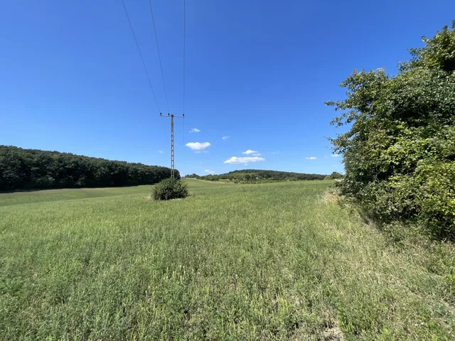 Eladó mezőgazdasági ingatlan Dörgicse 65741 nm