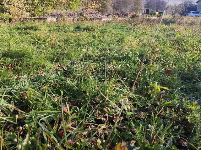 Eladó telek Vigántpetend 1019 nm