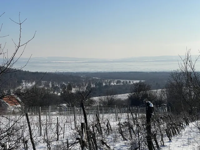 Eladó mezőgazdasági ingatlan Dörgicse 40 nm