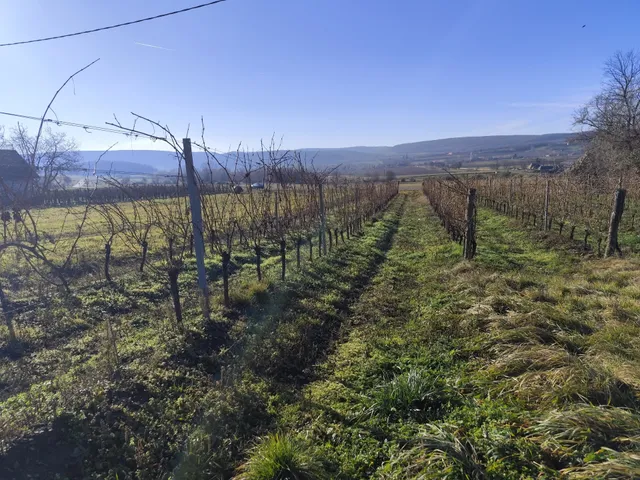 Eladó mezőgazdasági ingatlan Balatoncsicsó 45 nm