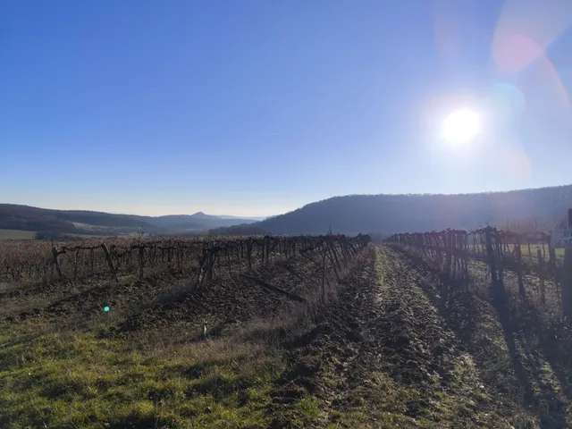 Eladó mezőgazdasági ingatlan Balatoncsicsó 5000 nm