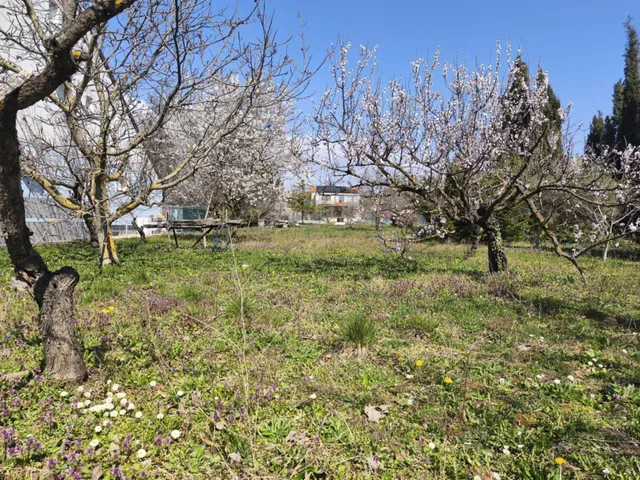 Eladó telek Vonyarcvashegy 1117 nm