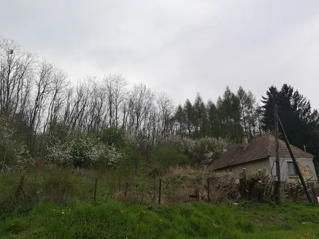 Eladó ház Városlőd 70 nm