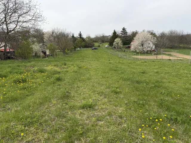 Eladó telek Csetény 3896 nm