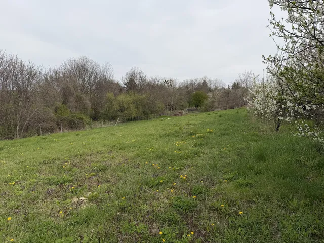 Eladó telek Csetény 3896 nm