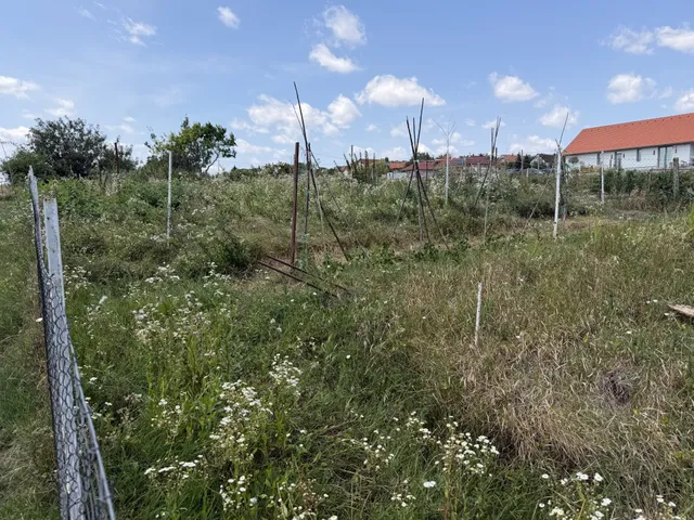 Eladó telek Szentkirályszabadja 771 nm