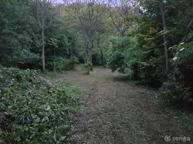 Eladó telek Győrújbarát 5618 nm