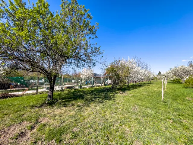 Eladó telek Biatorbágy 1075 nm