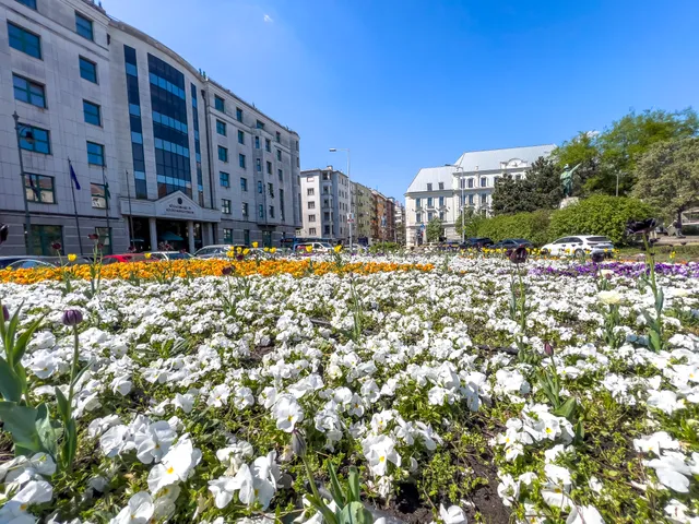 Eladó lakás Budapest II. kerület, Bem József utca 2 91 nm