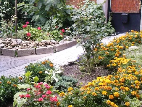 Eladó ház Budapest XXII. kerület, Budafok 250 nm