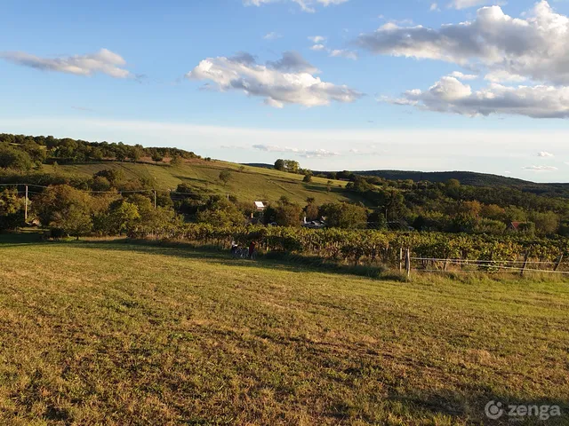 Eladó telek Lovasberény 4584 nm