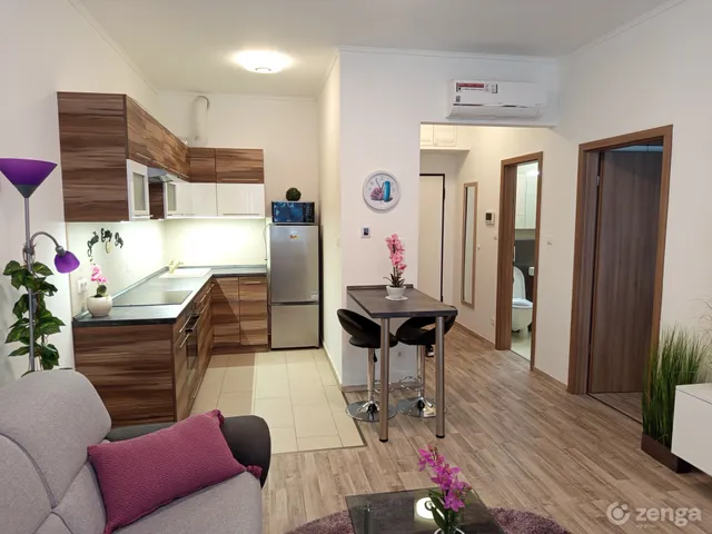 Kiadó lakás Budapest XI. kerület, Budapart 45 nm