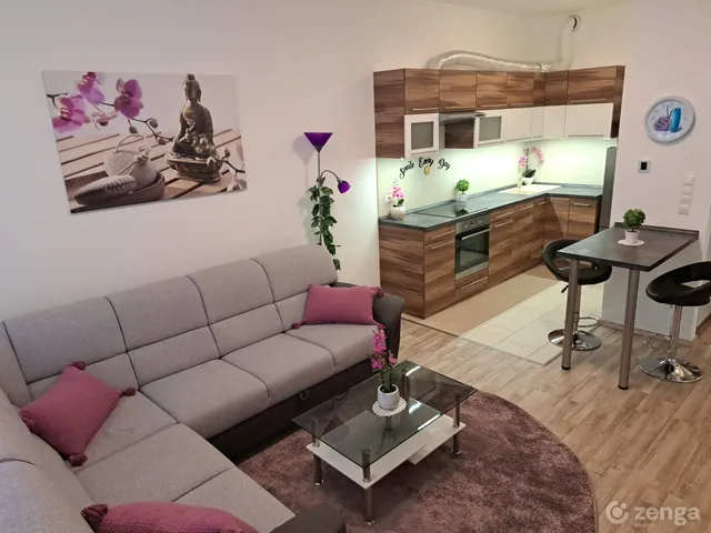 Kiadó lakás Budapest XI. kerület, Budapart, Bíró László József Krt. 4. 45 nm