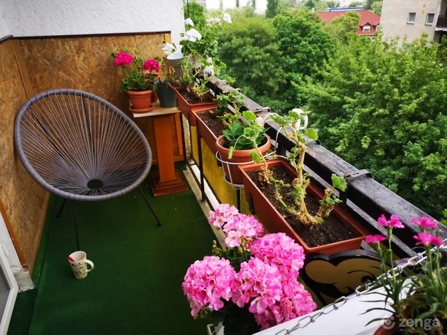 Eladó lakás Nyergesújfalu, Duna utca 2 55 nm