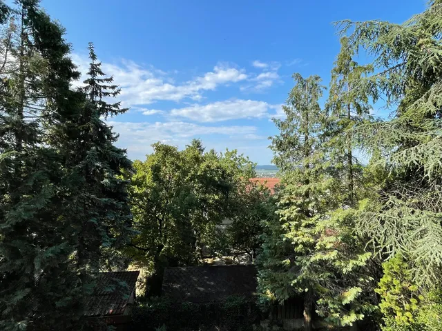 Eladó ház Budakeszi 202 nm